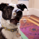 Illustration for article titled 12 Bubblicious Photos Of Bubbles